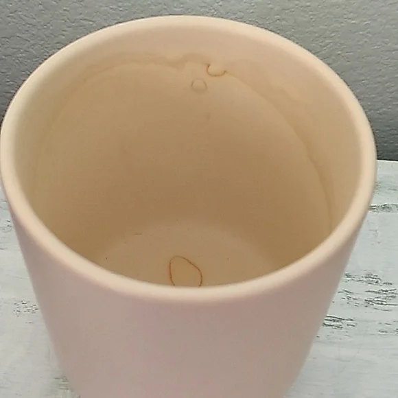 Succulent in a ceramic pot - Picture 4 of 9